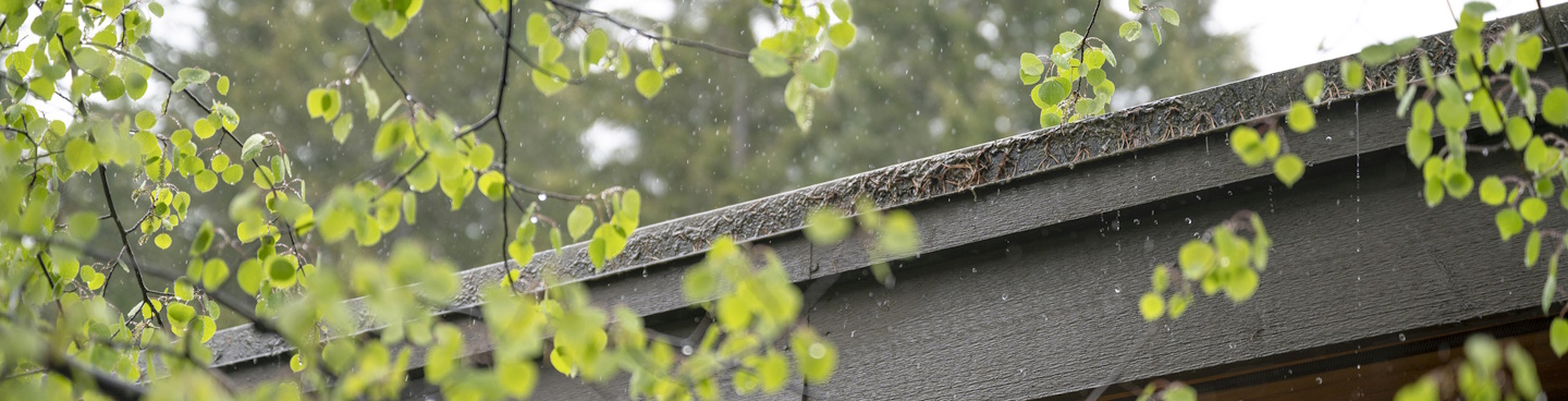 Spring Showers Featured Image